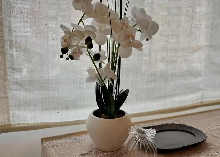 Aureliano San Román * Oviedo